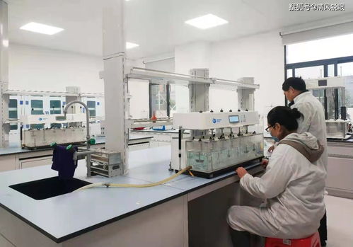 喜訊！真奧研究院新鮮螺旋藻功能性食品成功中試，引領(lǐng)醫(yī)學研究與試驗發(fā)展新方向